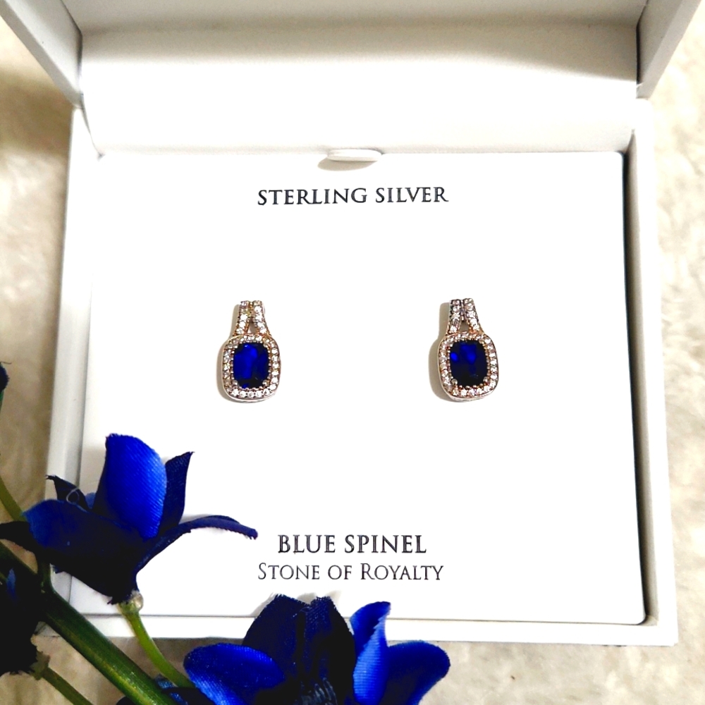 Blue Spinal Sterling Silver Earrings